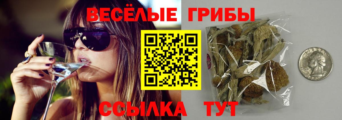 Псилоцибиновые грибы мицелий Югорск